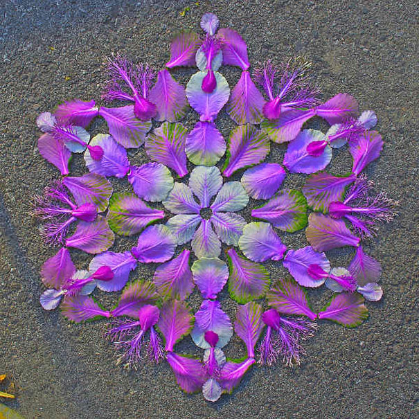 flower-mandalas-kathy-klein-8[1]